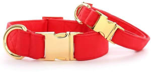 Two bright red collars with gold buckles on a white background