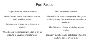 sibling pup dog dna results