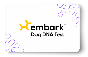 Embark Dog DNA Test