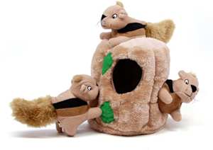 outwardbound hide a squirrel plush dog gift