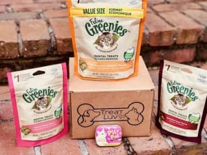 treatluv treat subscription box dog gift