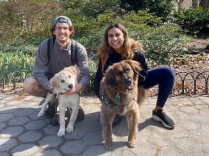 Dog brothers Rowan and Milo tilting their heads in the same direction, with their humans kneeling behind them.