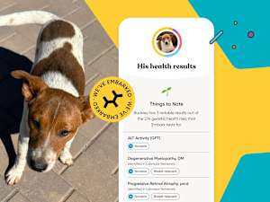 Buckley's Health results