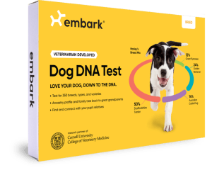 Embark dog DNA test box