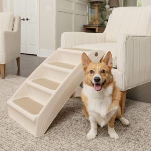 cozy up dog steps with corgi sitting next to them dog gift