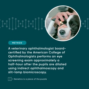 Eye screenings method