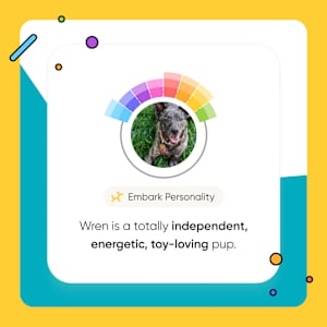 Redirects to the blogpage explaining Embark's Personality Quiz