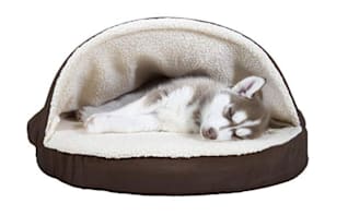 embark dog bed winter accessories