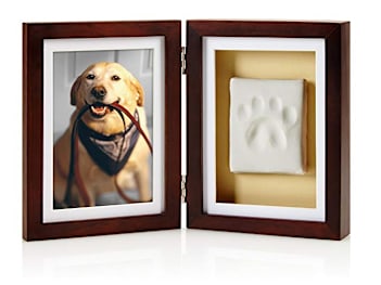 dog dna test valentine's