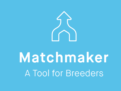 Go to "Matchmaker For Breeders: An Easier Way to Evaluate Potential Mates" article