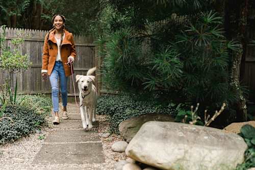 person walking with a large white dog on a leash outside