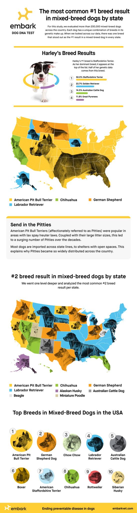The Most Popular Breed in Mixed Breed Dogs by State Embarkvet
