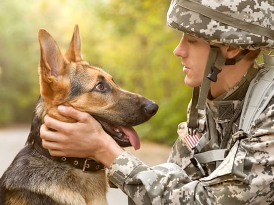 Go to "Embark Salutes Service Dogs for Veterans" article