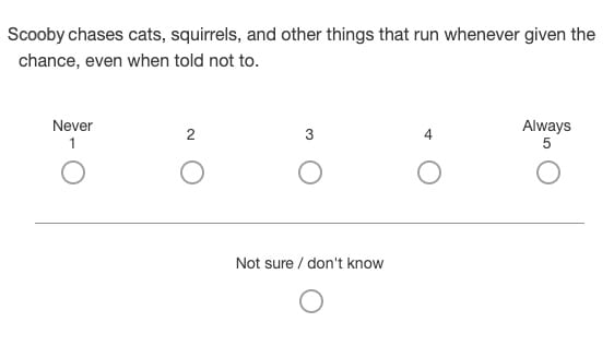 Scooby chases cats, squirrels, and other things that run whenever given the chance, even when told not to.