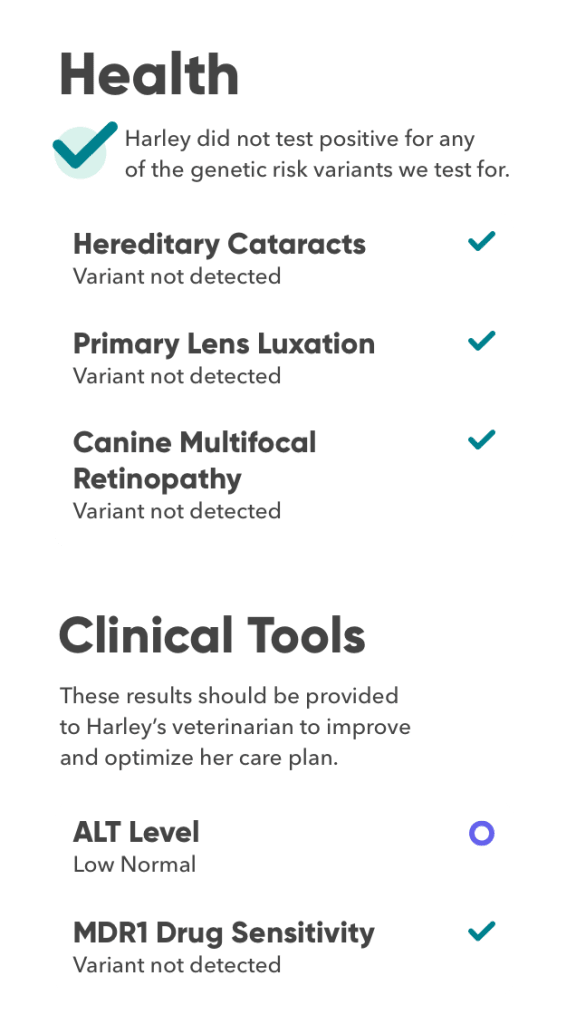 Embark tests for over 200 genetic health risks and makes the results easy to share with a veterinarian.