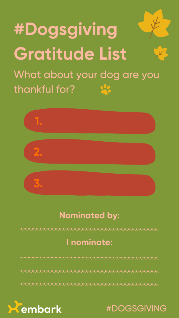 Dogsgiving Gratitude list