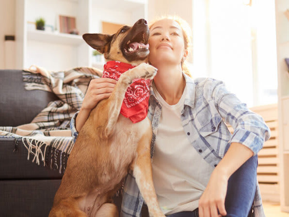 Go to "How to Stop Your Dog from Barking" article