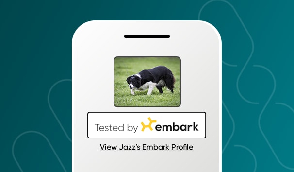 Go to "Tested by Embark Logos for Breeders" article