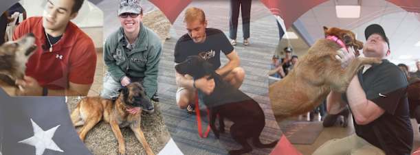 Mission K9 Rescue Reunions