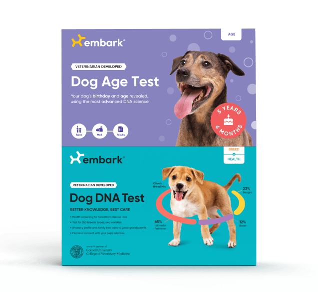 dog age test and breed & health test kits bundle
