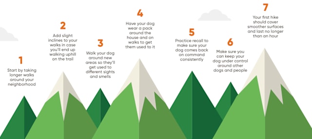 Tips for preparing your dog to hike