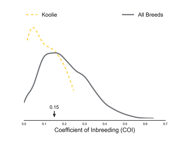 Go to "Oedipus Rex: Dog Inbreeding, its Consequences, and its Quantification" article