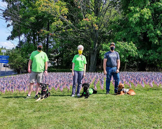 stand with me handlers and dogs