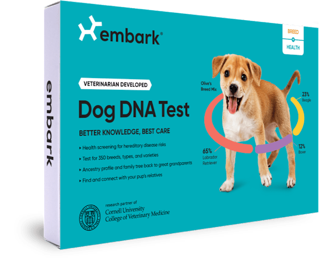 Embark Dog DNA Breed + Health Kit