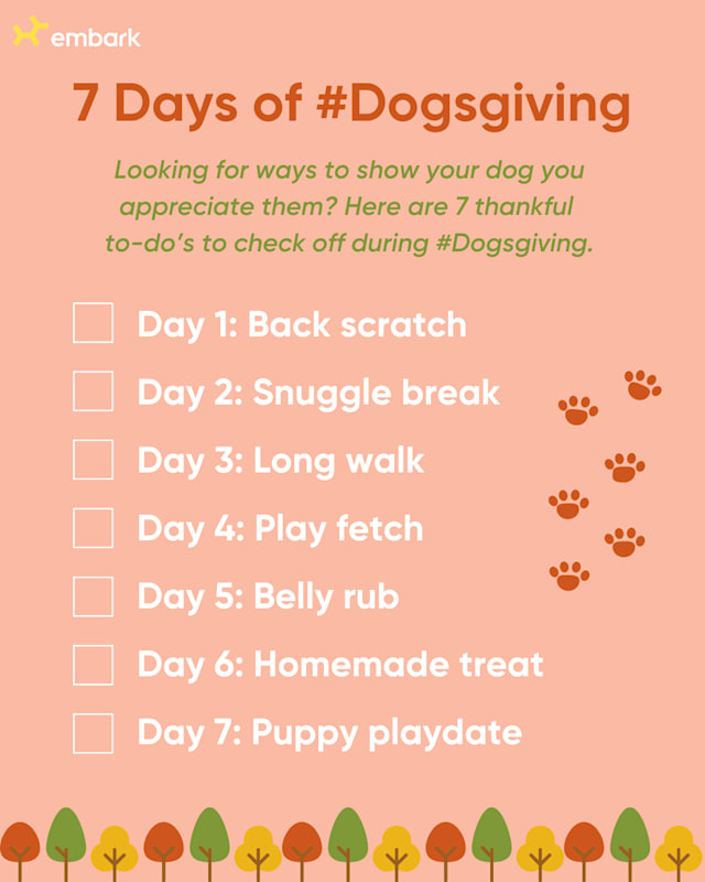 7 days of Dogsgiving Check list