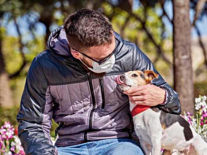 Go to "How to Walk Your Dog While Social Distancing" article
