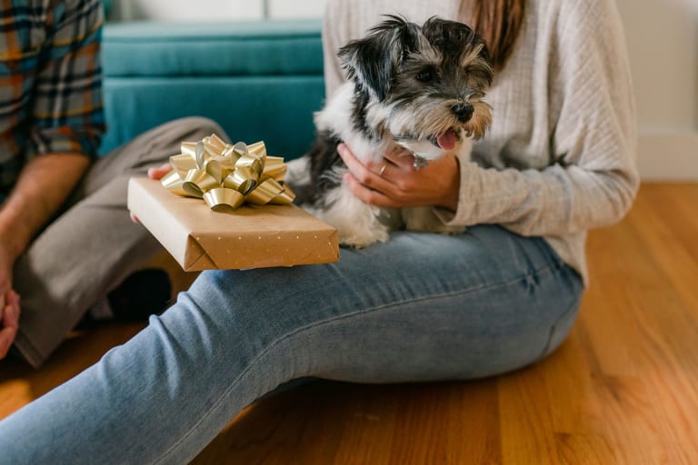 dog sitting on person's lap next to wrapped Embark Dog DNA Kit gift