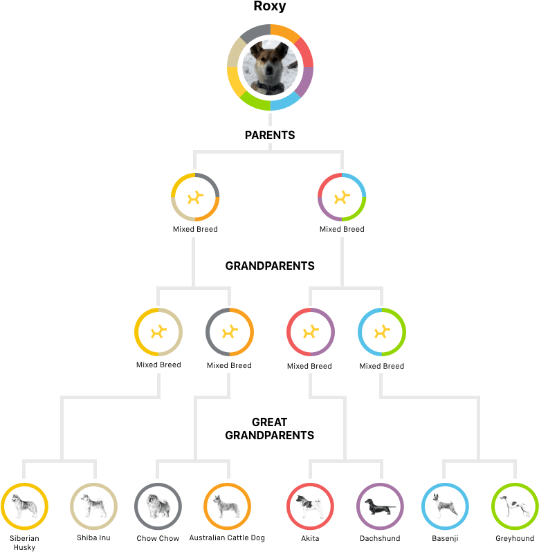 Family tree