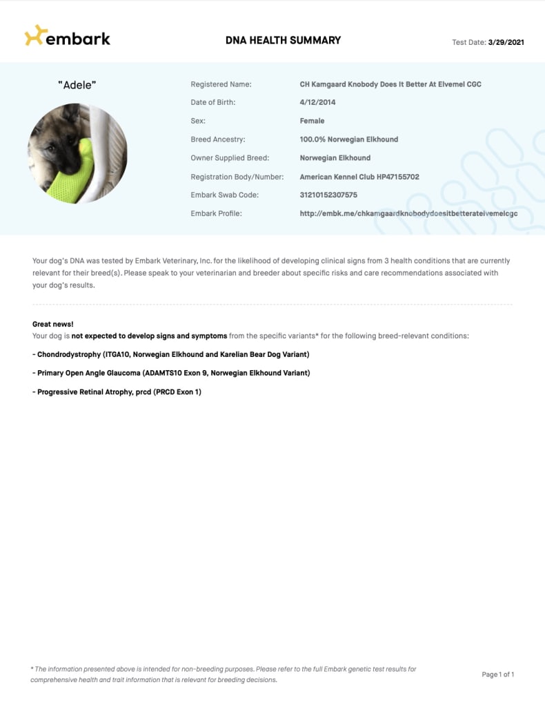Example DNA Health Summary report for breeders. This report includes information about your dog including test date, name, date of birth, sex, breed ancestry, owner supplied breed, registration number, embark swab code, a link to your embark profile, and relevant health conditions.