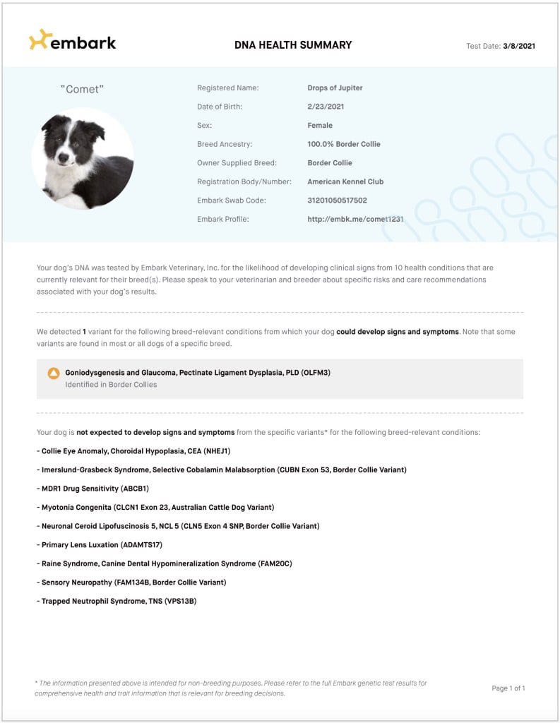 Example At Risk Summary report. This report includes information about your dog including test date, name, date of birth, sex, breed ancestry, owner supplied breed, embark swab code, a link to your embark profile, and relevant health conditions.