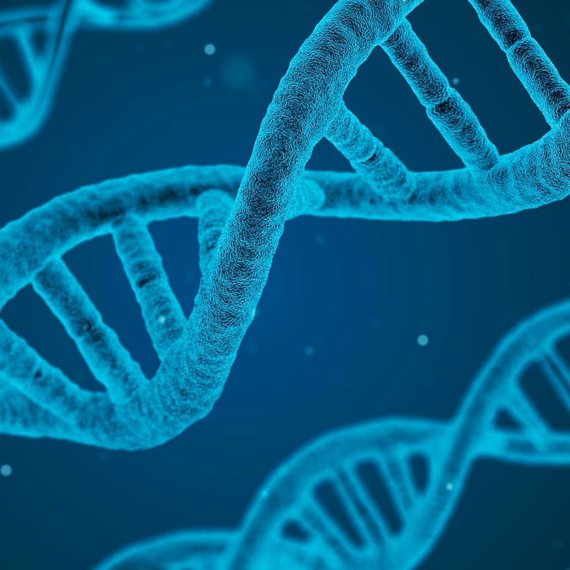 Go to "Science Corner: Genetics 101" article