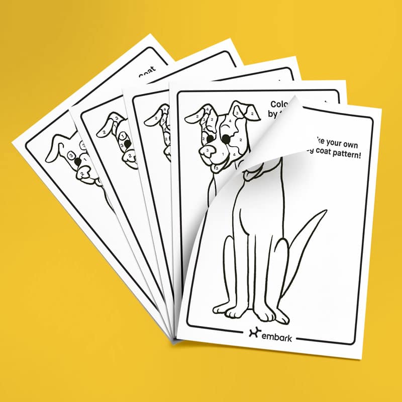 dog coloring 4 pack