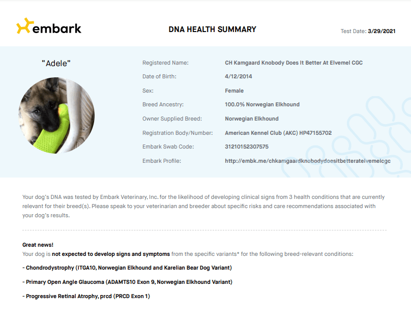Go to "DNA Health Summary for Puppies" article