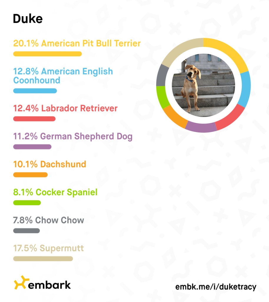 Duke's breed results