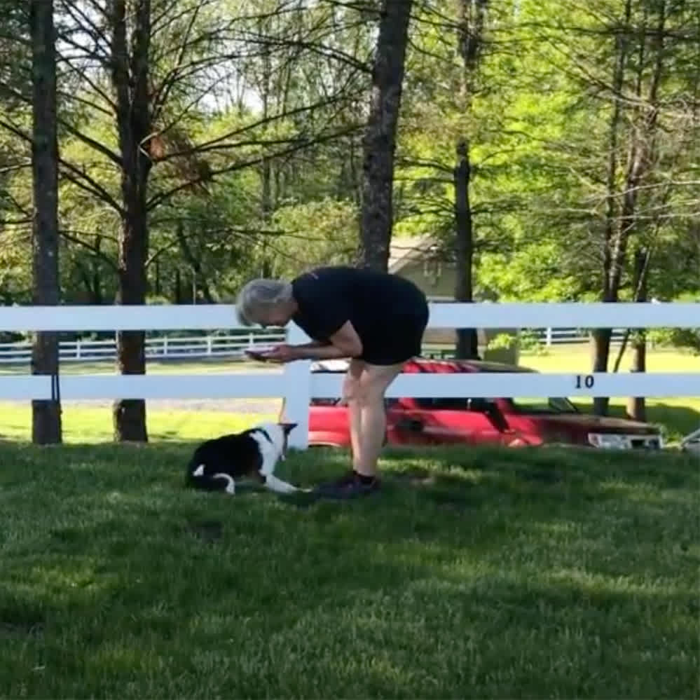 Recall Training