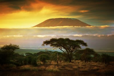 In the News: Climbing Mount Kilimanjaro