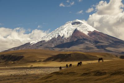 What will the weather be like on our Ecuador trip?