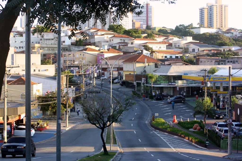 Vila Romana