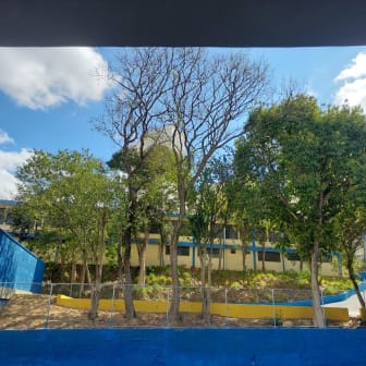 Imagem do imóvel ID-21340 na Praça Monsenhor José Maria Monteiro, Vila Romana, São Paulo - SP
