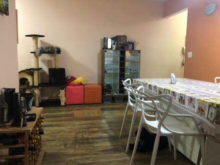 Imagem do imóvel ID-22005 na Rua Doutor Fabrício Vampré, Vila Mariana, São Paulo - SP