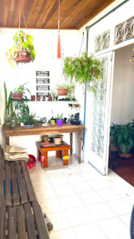 Imagem do imóvel ID-91456 na Rua Visconde de Pirajá, Ipanema, Rio de Janeiro - RJ