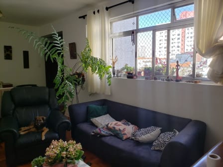 Imagem do imóvel ID-143253 na Rua Bueno de Andrade, Aclimação, São Paulo - SP