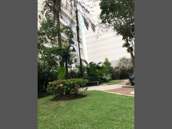 Imagem do imóvel ID-23476 na Rua Monte Alegre, Perdizes, São Paulo - SP