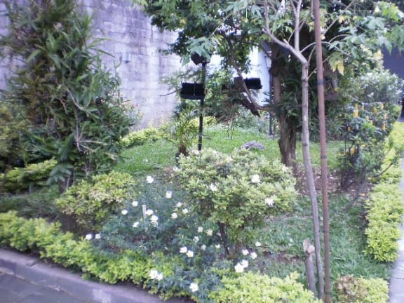 Imagem do imóvel ID-17146 na Rua Guaipá, Vila Leopoldina, São Paulo - SP