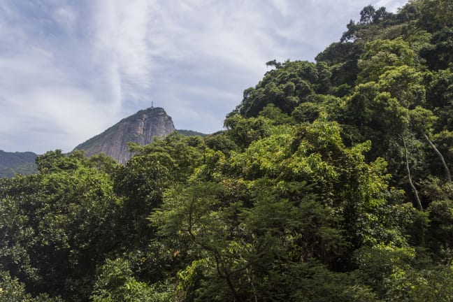 Imagem do imóvel ID-13644 na Rua Vitória Régia, Lagoa, Rio de Janeiro - RJ