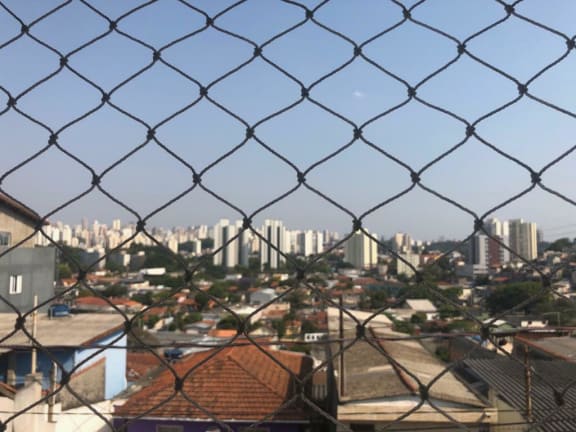 Imagem do imóvel ID-19722 na Rua Lauro Freire, Butantã, São Paulo - SP